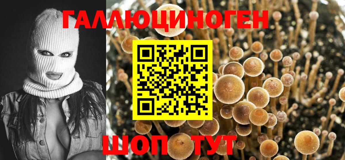 Галлюциногенные грибы Cubensis  где можно купить наркотик  Красноармейск  Вход с VPN  Галлюциногенные грибы мицелий 